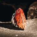Ruyi Armor Ring Painted-02